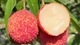 Vải thiều Trung Quốc 700.000 đồng/kg đổ bộ chợ Việt