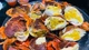Cua gạch Cà Mau hơn nửa triệu đồng/kg ngon cỡ nào? 