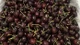 Cherry Mỹ đổ bộ thị trường Việt, giá rẻ kỷ lục 
