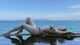 "Hot girl Hà thành" Phương Bora đốt mắt netizen với vóc dáng bikini nuột nà