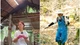 Ái nữ nhà đại gia thủy sản gây sốt ở Gia Đình Haha