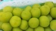 Nho sữa Trung Quốc rớt giá “chạm đáy” chỉ 15.000 đồng/kg