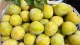 Mận lạ Trung Quốc 450.000 đồng/kg, khách tranh nhau mua