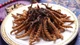 “Tiên dược” chốn núi cao hơn 2 tỷ/kg có gì đặc biệt?