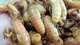 Đặc sản nhìn "chết khiếp" hơn nửa triệu đồng/kg 