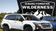 Chi tiết SUV địa hình Subaru Forester Wilderness 2026, giá hơn 38.000 USD