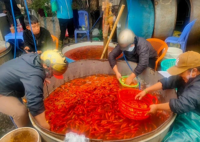Chợ cá Yên Sở "lo ế" trước ngày cúng ông Công, ông Táo