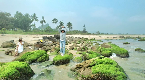 Đẹp nao lòng mùa rêu xanh mướt tại rạn Nam Ô