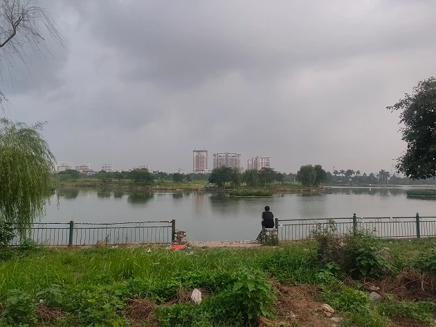 Công viên Khu đô thị Việt Hưng hơn 70 tỷ đồng thành nơi… trồng chuối