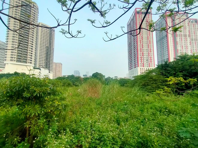 “Đất vàng” Constrexim Complex “đắp chiếu”, cỏ mọc hoang hóa