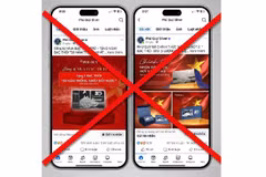 Tích xanh giả mạo tràn lan người tiêu dùng dễ sập bẫy lừa đảo