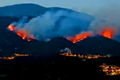 AI tham gia chống cháy rừng tại điểm nóng Địa Trung Hải