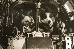 Chuyến bay lịch sử của Sputnik 5 và hai chú chó anh hùng 