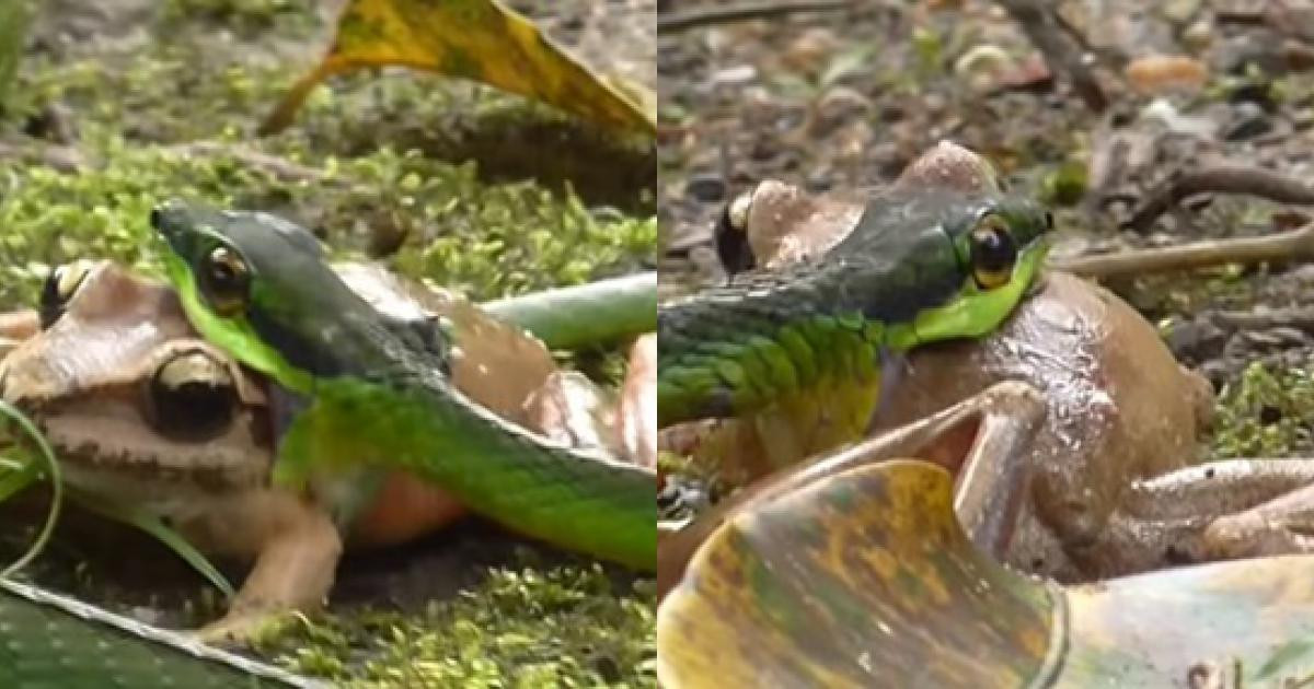 Một hội đồng gồm 25 giám khảo đã chọn ra những bức ảnh lọt vào vòng chung kết từ 11.681 bài dự thi, từ đó 100 hình ảnh đẹp nhất và những bức ảnh đoạt giải sẽ được công bố vào tháng 1 năm 2025.