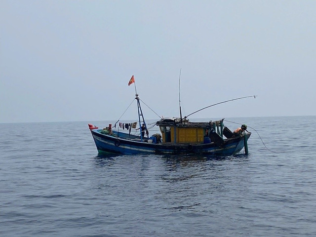 Ảnh minh hoạ. qtri-17458908904101605141150.jpg