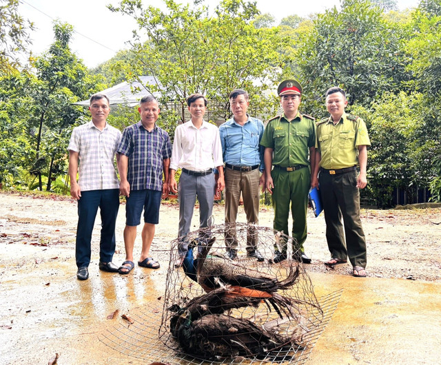 Người dân giao nộp các cá thể động vật quý hiếm. 536090710-1180442657442777-1287748922245334551-n.jpg