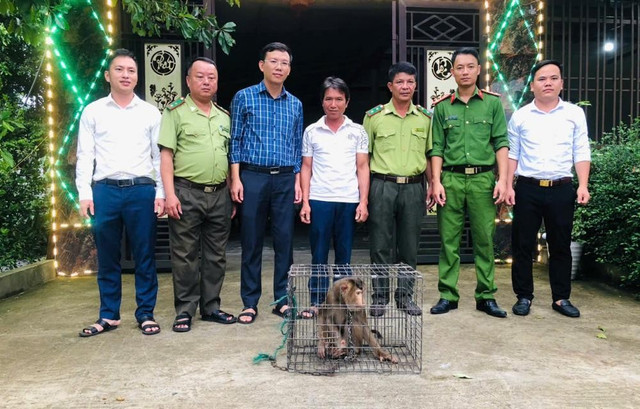 Gia đình ông Trương Quang Vinh bàn giao cá thể khỉ đuôi lợn cho cơ quan chức năng. 68afa2e6a809c.jpg