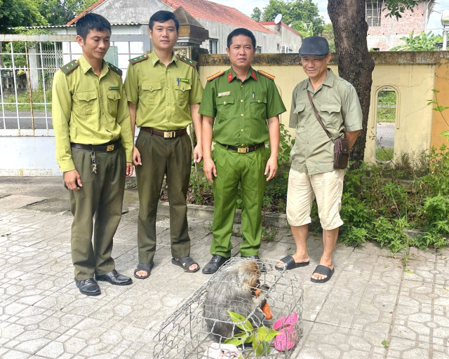 Lực lượng chức năng tiếp nhận cá thể khỉ mặt đỏ. img-7216.jpg