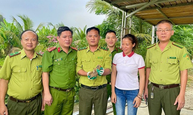 Cá thể cu li nhỏ được người dân giao nộp. z6631670707407-2b1321f8db02d6acd46ed037db21933c-8336-2294.jpg