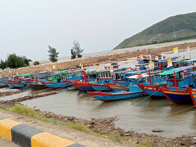 Hơn 600 tàu thuyền đã vào tránh trú bão số 3. bao-2-dovv.jpg