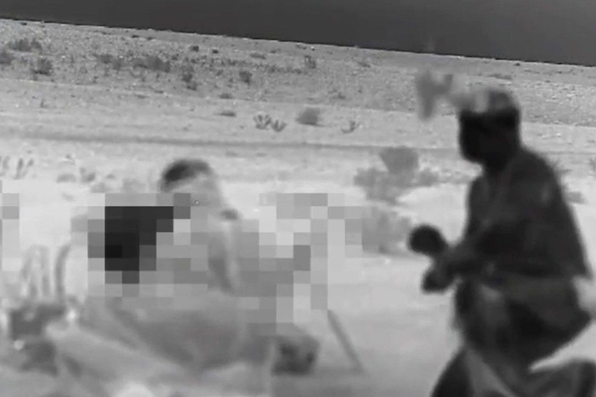 Tuy nhiên, cho đến khi chiến tranh Iran-Israel kết thúc, Iran vẫn chưa công khai tiêu diệt, hoặc bắt giữ bất kỳ thành viên nào của lực lượng biệt kích Israel. Sau 12 ngày chiến đấu, rất có thể không có ai trong lực lượng biệt kích Israel bị bắt và tiêu diệt. Trên thực tế, họ không bị lực lượng an ninh và dân quân Iran phát hiện.