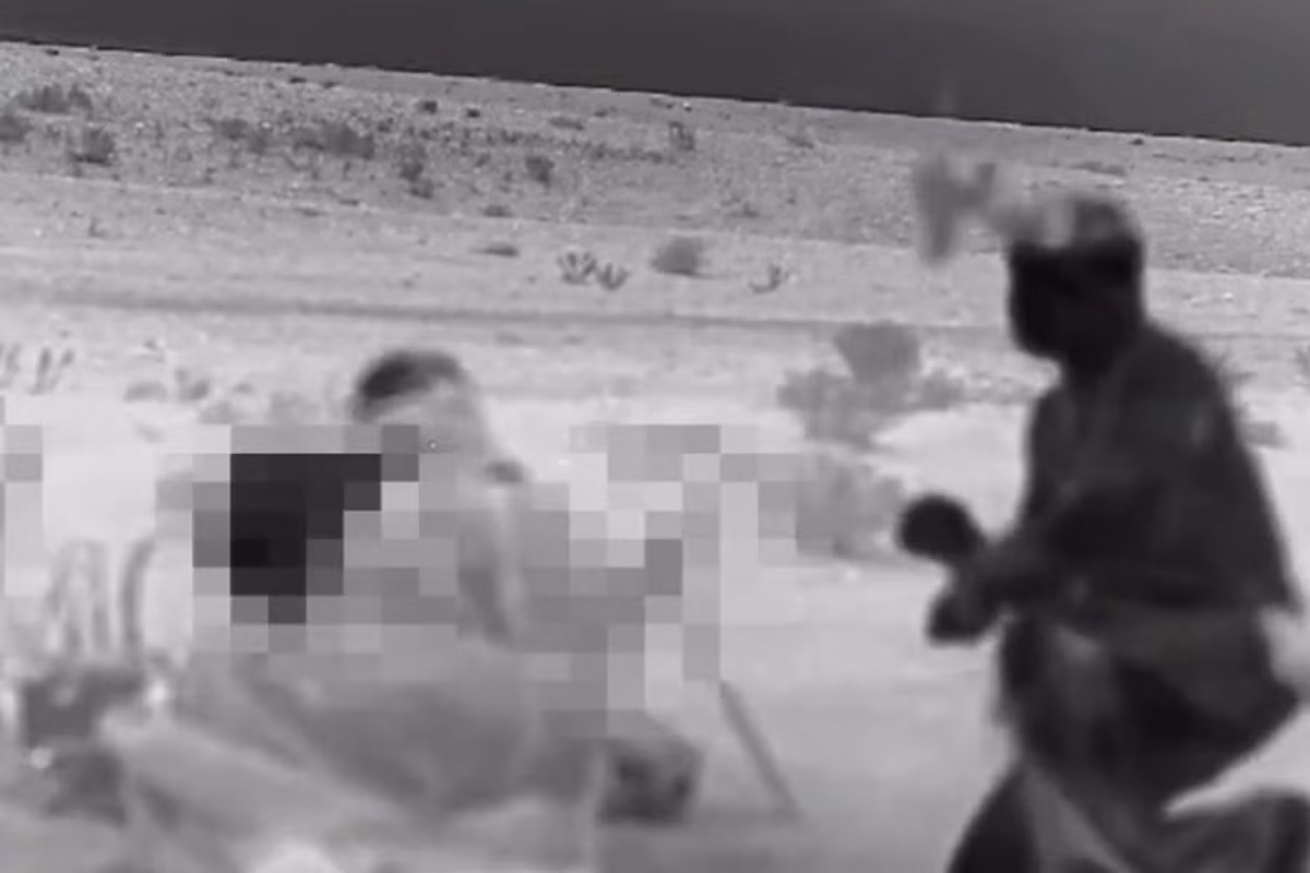 Tuy nhiên, cho đến khi chiến tranh Iran-Israel kết thúc, Iran vẫn chưa công khai tiêu diệt, hoặc bắt giữ bất kỳ thành viên nào của lực lượng biệt kích Israel. Sau 12 ngày chiến đấu, rất có thể không có ai trong lực lượng biệt kích Israel bị bắt và tiêu diệt. Trên thực tế, họ không bị lực lượng an ninh và dân quân Iran phát hiện.