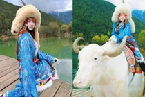 Cựu hot girl Hà Thành hóa mỹ nữ Tây Tạng, gây ấn tượng với bộ ảnh cưỡi bò