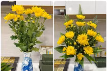 Netizen truyền tay nhau cách cắm hoa ban thờ đẹp mắt, tinh tế