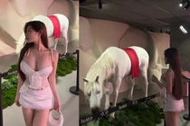 Hot girl gây chú ý khi diện trang phục nóng bỏng đi ngắm ngựa