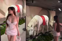 Hot girl gây chú ý khi diện trang phục nóng bỏng đi ngắm ngựa