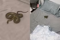 Hình ảnh “bé na” chui ra từ điều hòa khiến netizen sợ hãi