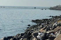 Lâm Đồng chỉ đạo gấp rút nạo vét luồng biển La Gi