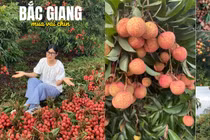 Nghỉ hè không "xả hơi": Khi sinh viên về phụ mẹ bán vải