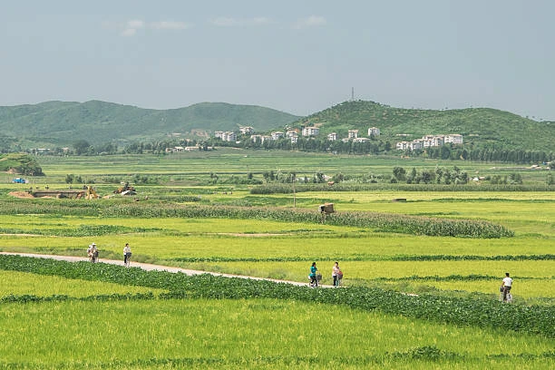 Hé lộ cuộc sống ở nông thôn Triều Tiên nhiều năm trước