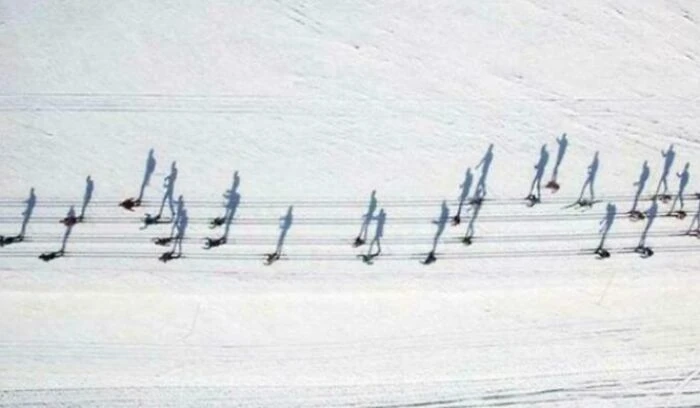 Loạt ảnh “đánh lừa thị giác” khiến bạn không tin vào mắt mình