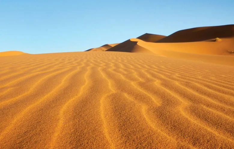 Sự thật thú vị về sa mạc Sahara có thể bạn chưa biết