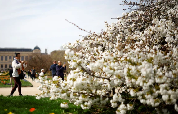 Mê đắm cảnh sắc mùa xuân rực rỡ khắp thế giới