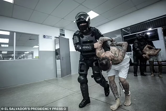 Hãi hùng nhà tù có thể giam người nhập cư bị Mỹ trục xuất