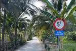 Xã Tân Thạnh chỉ định thầu rút gọn: Điểm nghẽn cạnh tranh và hiệu quả kinh tế [Kỳ 2] 