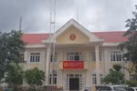 Trúng thầu tiết kiệm 0 đồng và siêu thấp tại xã Tân Lập, Công ty Trường Vinh lộ bất thường [Kỳ 1] 