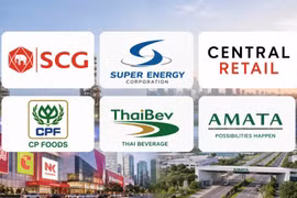 [VIDEO] Các tập đoàn Thái Lan thu lợi khủng khi đầu tư vào Việt Nam