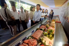 [VIDEO] TP.HCM siết chặt an toàn suất ăn học đường cho 2,5 triệu học sinh