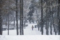 Hình ảnh tuyết rơi trắng xóa ở Trung Quốc