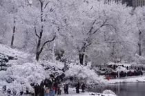 Hình ảnh tuyết rơi trắng xóa ở thành phố New York