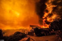 Hãi hùng cảnh cháy rừng như hỏa ngục ở Bồ Đào Nha