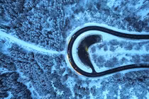 Châu Âu chìm trong băng giá mùa đông