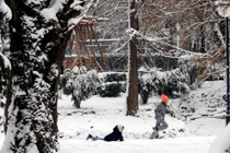 Hình ảnh mùa đông lạnh giá ở Romania