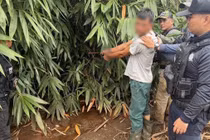 Con rể sát hại cha vợ, bỏ trốn vào rừng