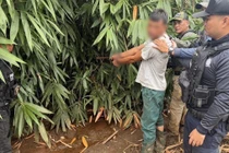 Con rể sát hại cha vợ, bỏ trốn vào rừng