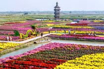 Mê đắm cảnh sắc mùa thu tuyệt đẹp ở Trung Quốc